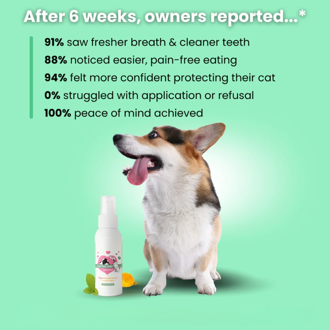 Your Pet Can't Tell You Their Mouth Hurts — Trypalz™ Advanced Dental Spray Acts Before It's Too Late