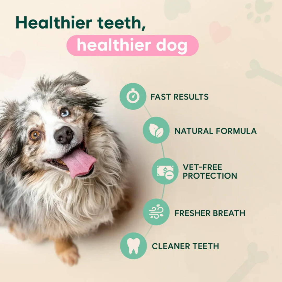 Your Pet Can't Tell You Their Mouth Hurts — Trypalz™ Advanced Dental Spray Acts Before It's Too Late