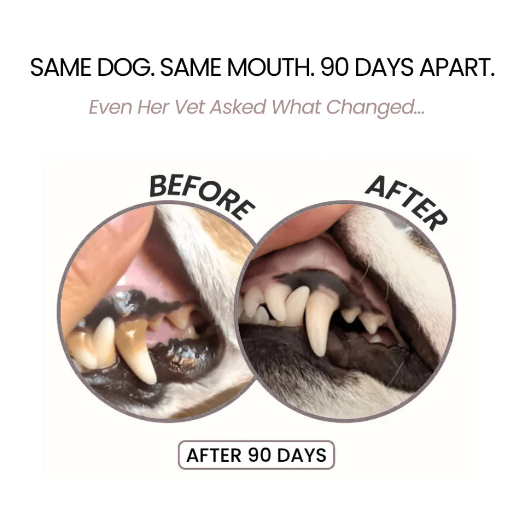 Your Pet Can't Tell You Their Mouth Hurts — Trypalz™ Advanced Dental Spray Acts Before It's Too Late