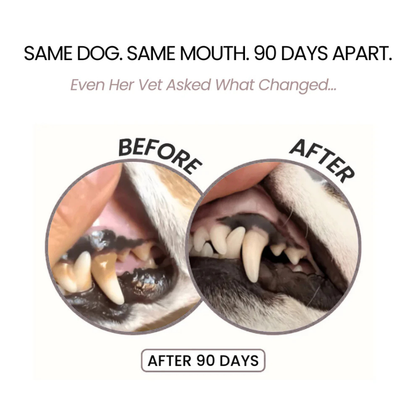Your Pet Can't Tell You Their Mouth Hurts — Trypalz™ Advanced Dental Spray Acts Before It's Too Late