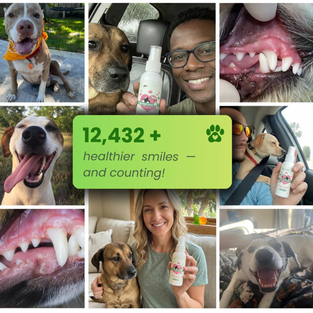 Your Pet Can't Tell You Their Mouth Hurts — Trypalz™ Advanced Dental Spray Acts Before It's Too Late