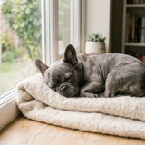 Safe for Senior & Sensitive Pets