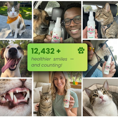 Your Cats Can't Tell You They Suffer. 10 Seconds a Day Changes That. - Trypalz Advanced Dental Spray Acts Before It's Too Late