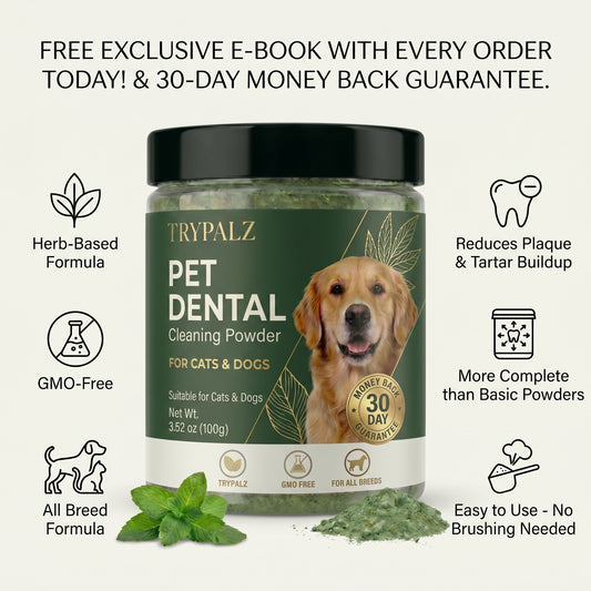 Trypalz Advanced Dental Powder