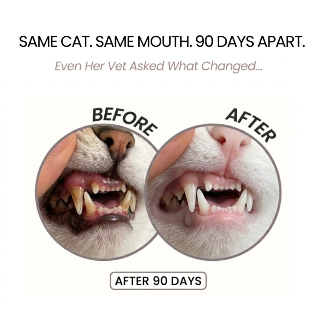 Your Cats Can't Tell You They Suffer. 10 Seconds a Day Changes That. - Trypalz Advanced Dental Spray Acts Before It's Too Late