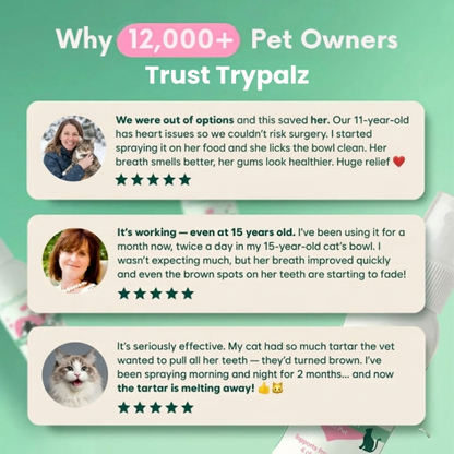 Your Cats Can't Tell You They Suffer. 10 Seconds a Day Changes That. - Trypalz Advanced Dental Spray Acts Before It's Too Late