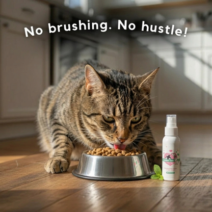 Your Cats Can't Tell You They Suffer. 10 Seconds a Day Changes That. - Trypalz Advanced Dental Spray Acts Before It's Too Late