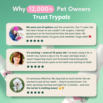 Your Pet Can't Tell You Their Mouth Hurts — Trypalz™ Advanced Dental Spray Acts Before It's Too Late