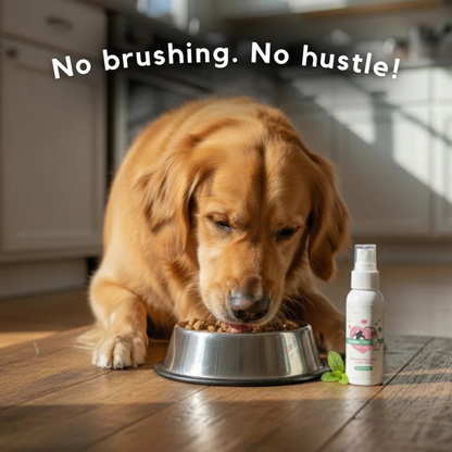 Your Pet Can't Tell You Their Mouth Hurts — Trypalz™ Advanced Dental Spray Acts Before It's Too Late