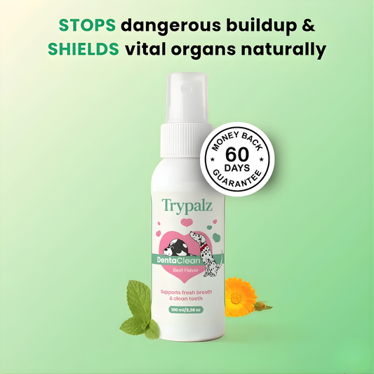Your Pet Can't Tell You Their Mouth Hurts — Trypalz™ Advanced Dental Spray Acts Before It's Too Late
