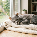 Safe for Senior & Sensitive Cats