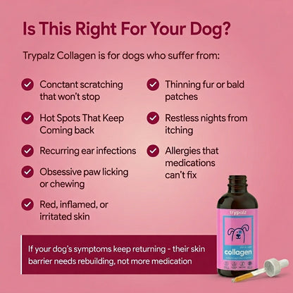 Trypalz Premium Collagen Drops