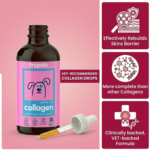 Trypalz Premium Collagen Drops