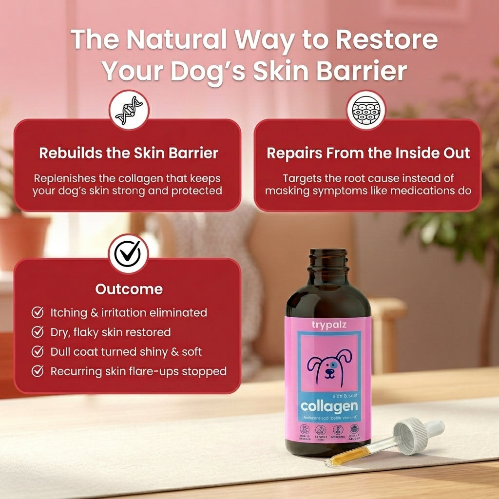 Trypalz Premium Collagen Drops