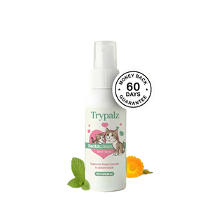 TRYPALZ