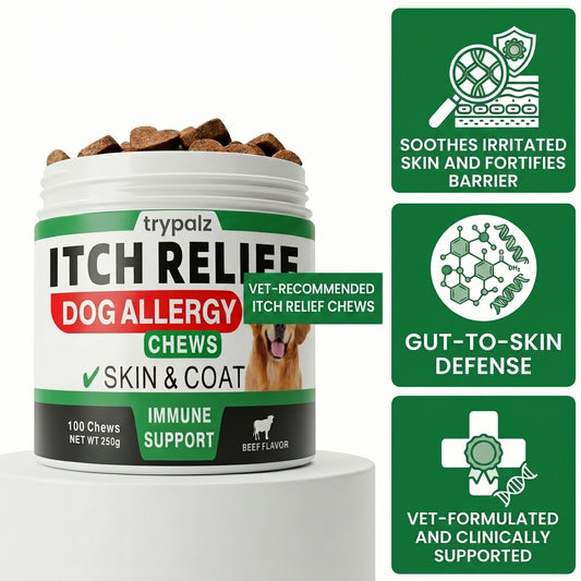 The First Gut-to-Skin Postbiotic Formula for Itchy Dogs