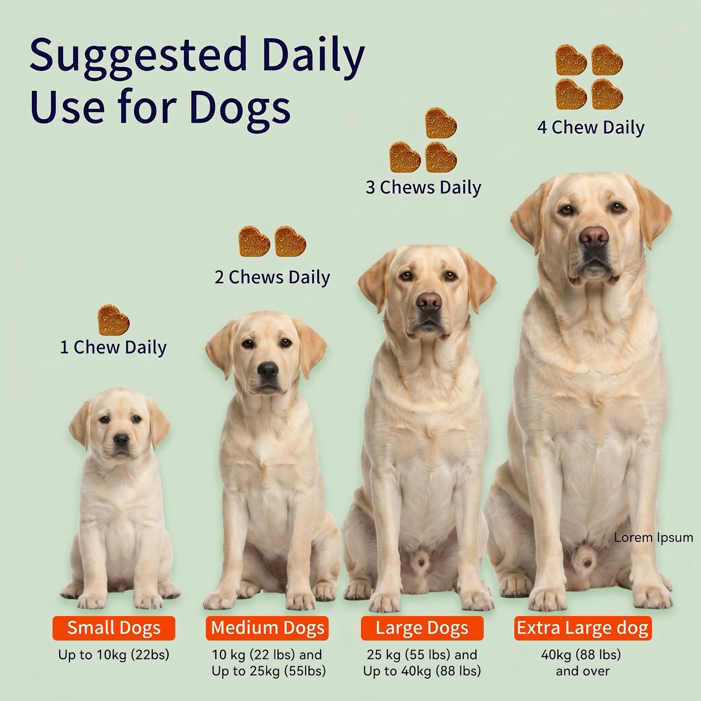 The First Gut-to-Skin Postbiotic Formula for Itchy Dogs