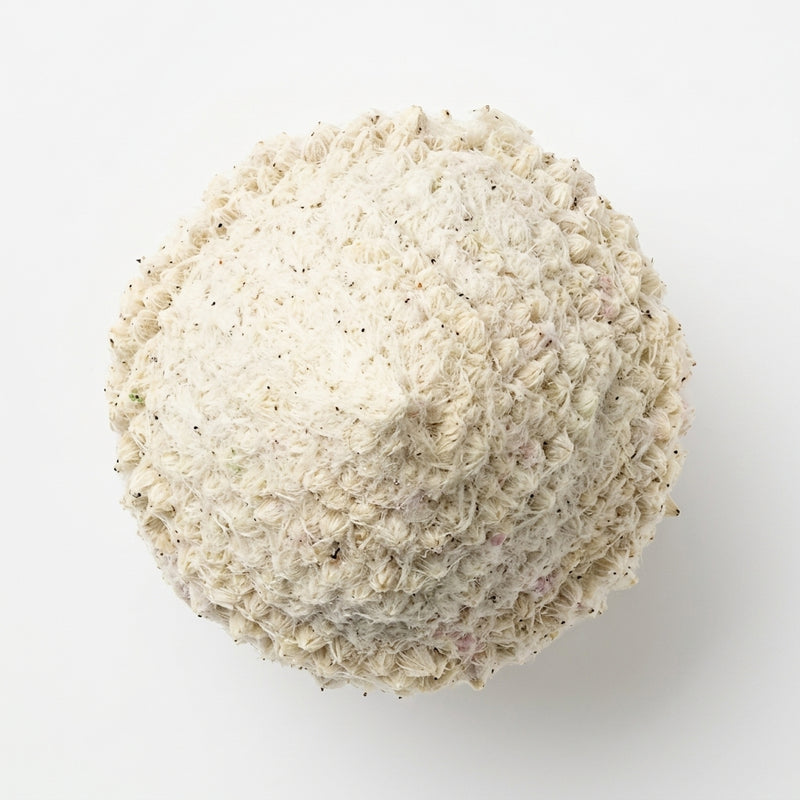 Type 2 Collagen
