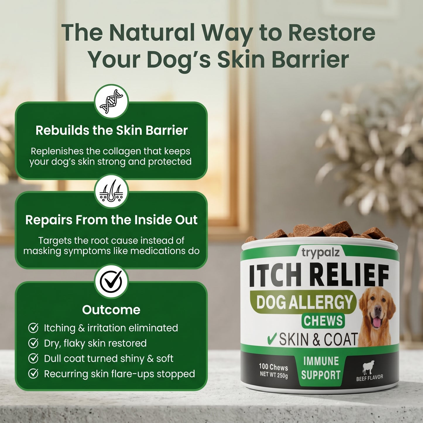 The First Gut-to-Skin Postbiotic Formula for Itchy Dogs