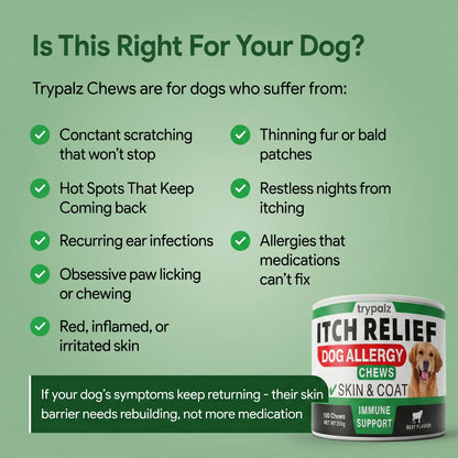 The First Gut-to-Skin Postbiotic Formula for Itchy Dogs