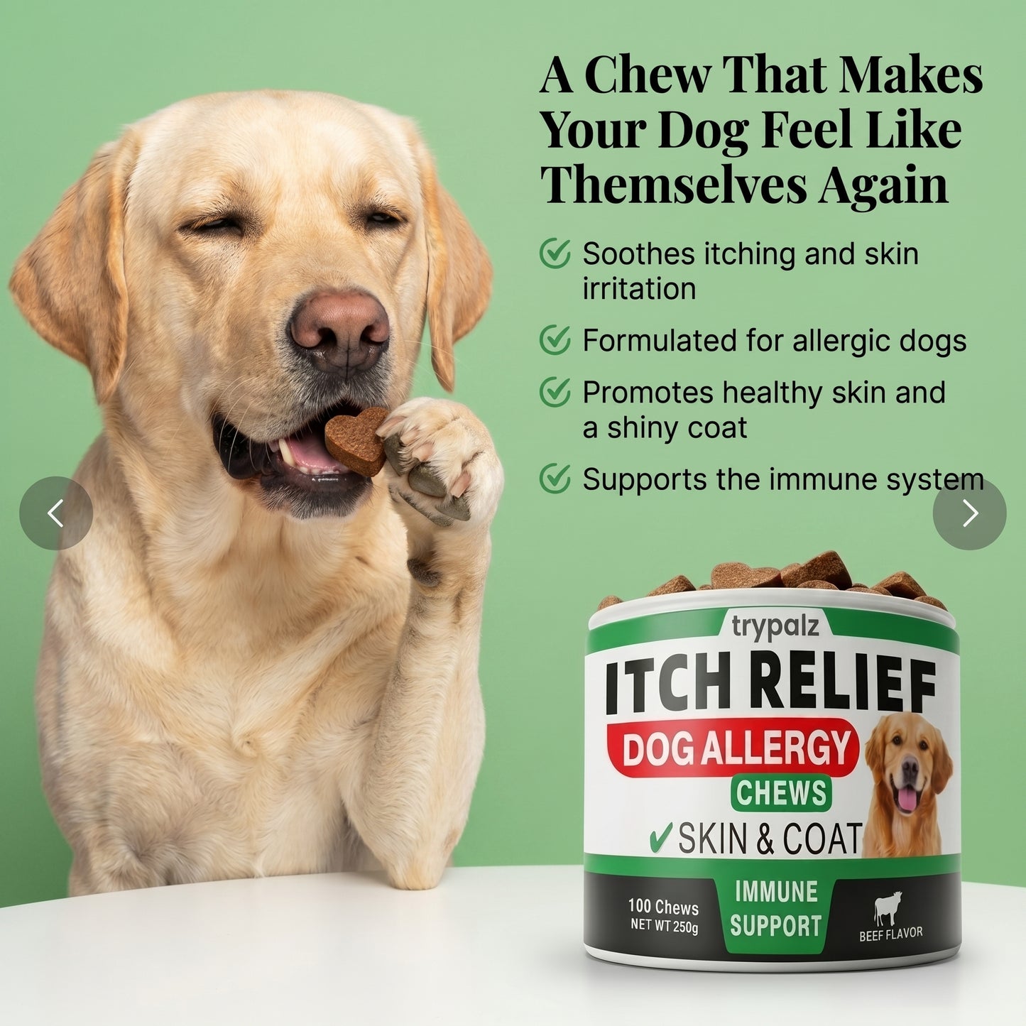 The First Gut-to-Skin Postbiotic Formula for Itchy Dogs