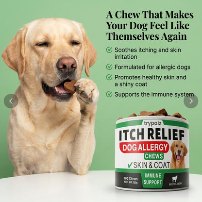 The First Gut-to-Skin Postbiotic Formula for Itchy Dogs